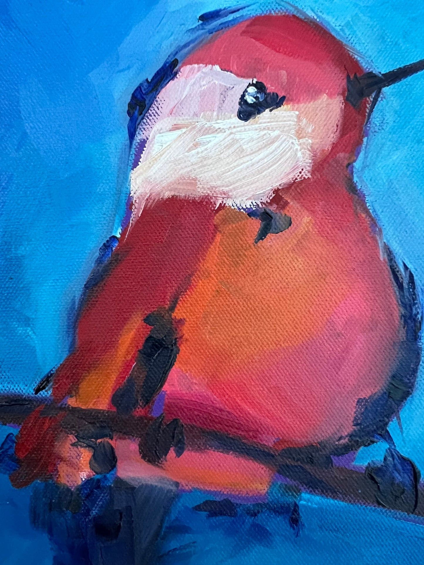 Cutie Bird - 28 x 28 cm FRAMED SOLD