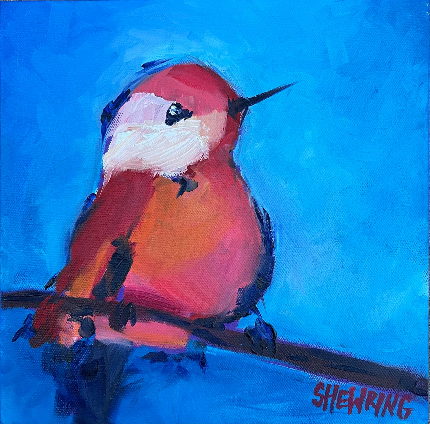 Cutie Bird - 28 x 28 cm FRAMED SOLD