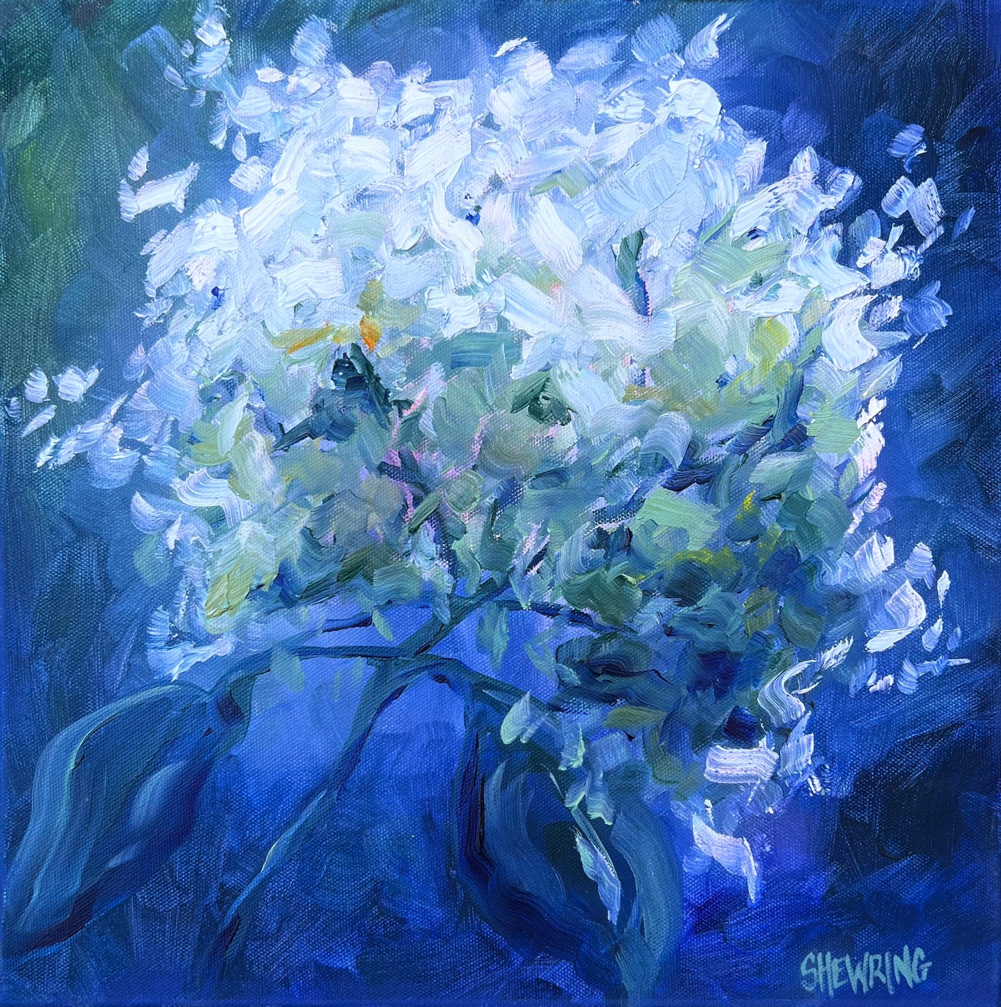 Spring Flower Sunlit 38x38cm FRAMED SOLD
