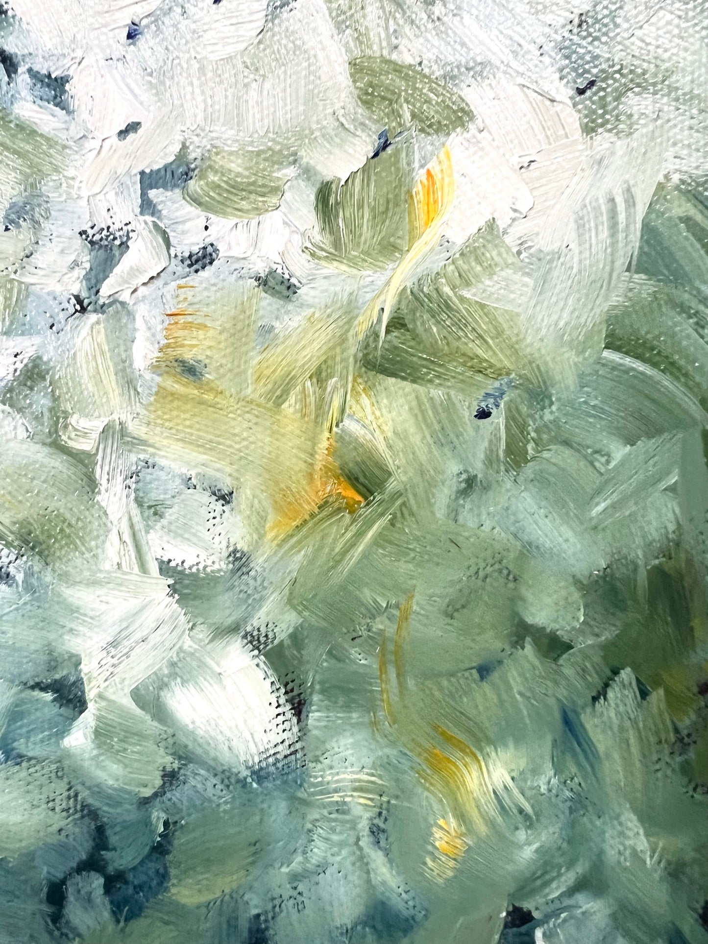 Sunlit Hydrangea 43x43cm FRAMED SOLD