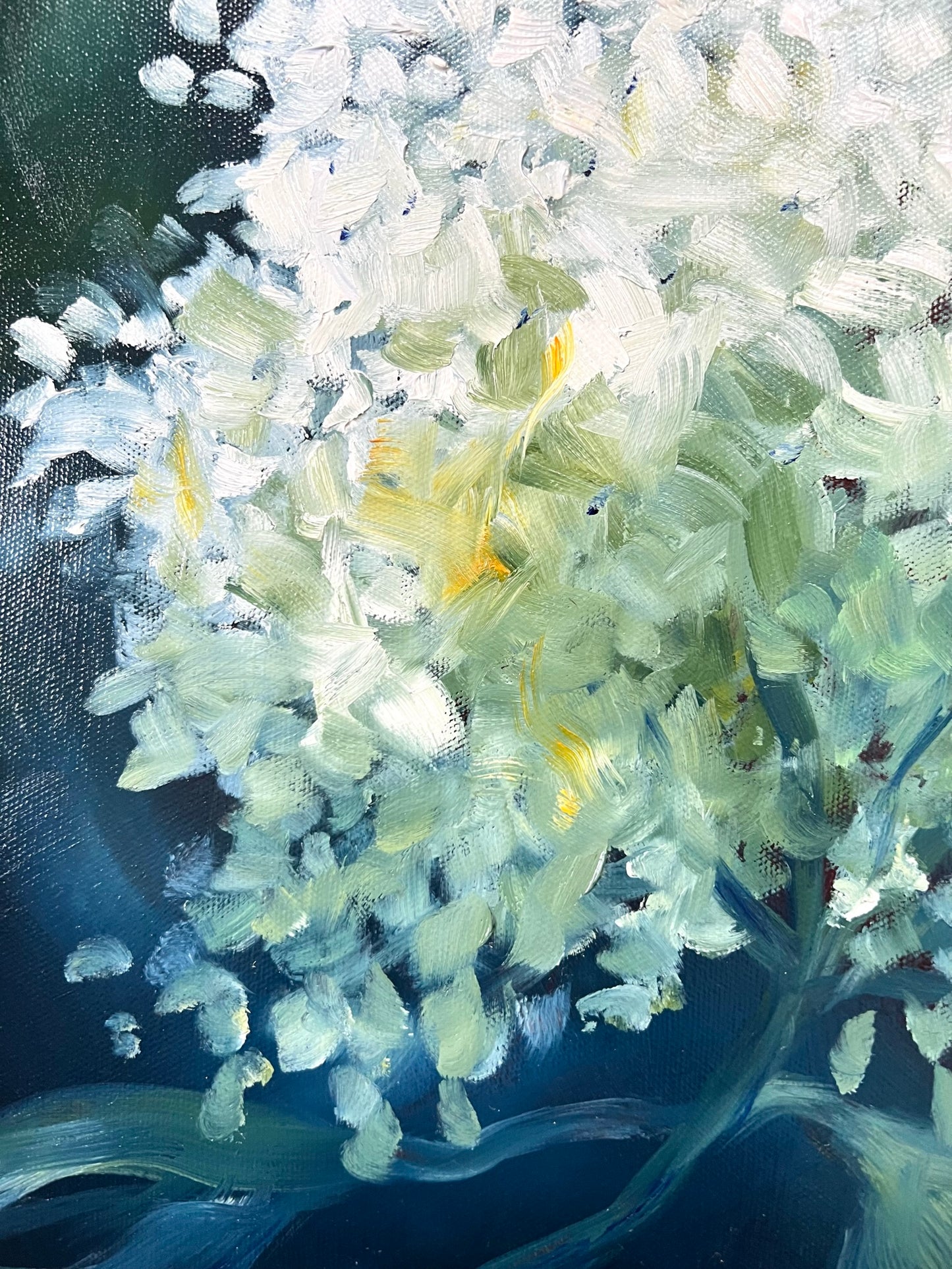Sunlit Hydrangea 43x43cm FRAMED SOLD