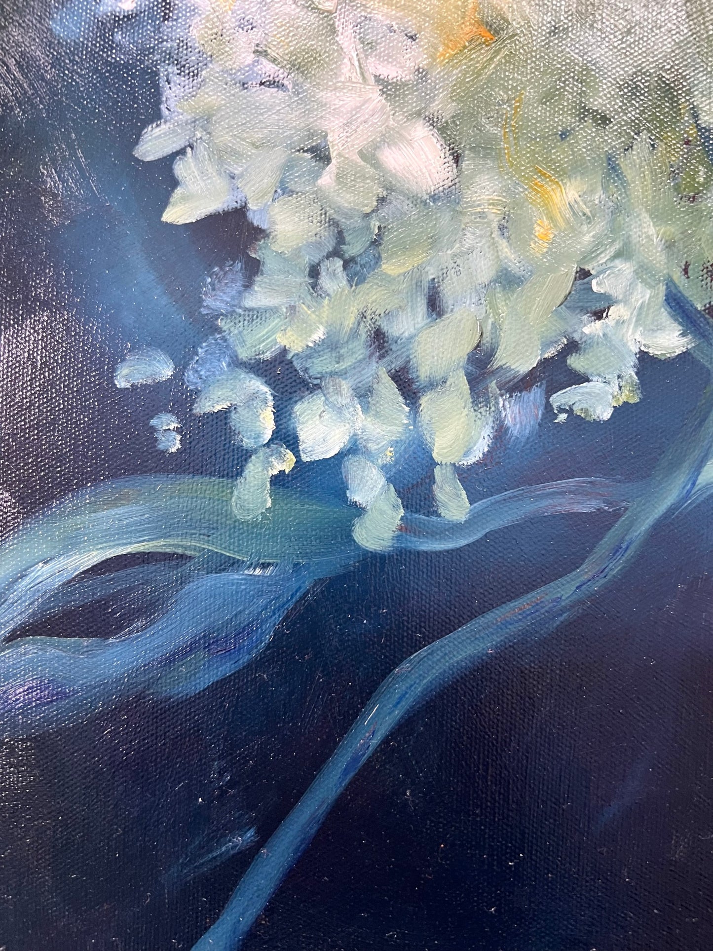 Sunlit Hydrangea 43x43cm FRAMED SOLD