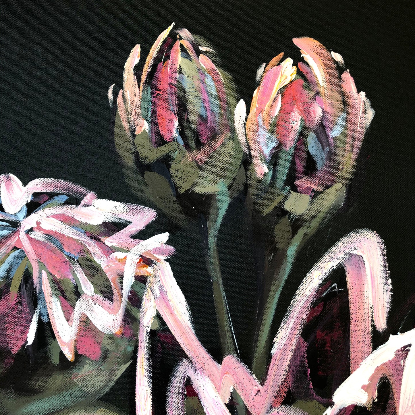 Twilight Protea - Limited Edition Print