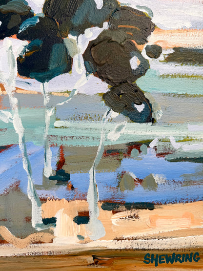 Beautiful View Out My Window 63x63cm FRAMED