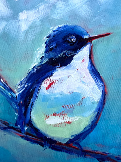 Blue Bird Sings - 28 x 28 cm FRAMED